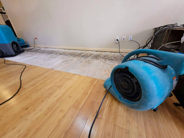Reliable Basement Flood Cleanup contractor in Pittsburg, TX by Hirex Water Damage