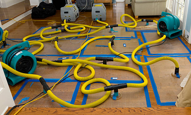 Professional Basement Flood Cleanup technician working in Pittsburg, TX